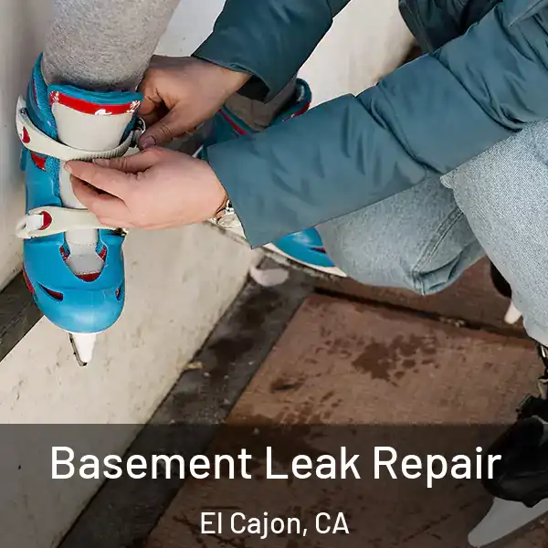  Basement Leak Repair El Cajon, CA