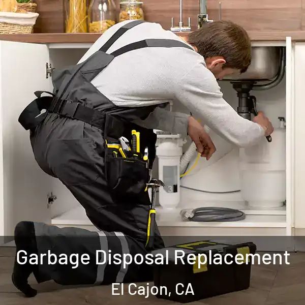  Garbage Disposal Replacement El Cajon, CA