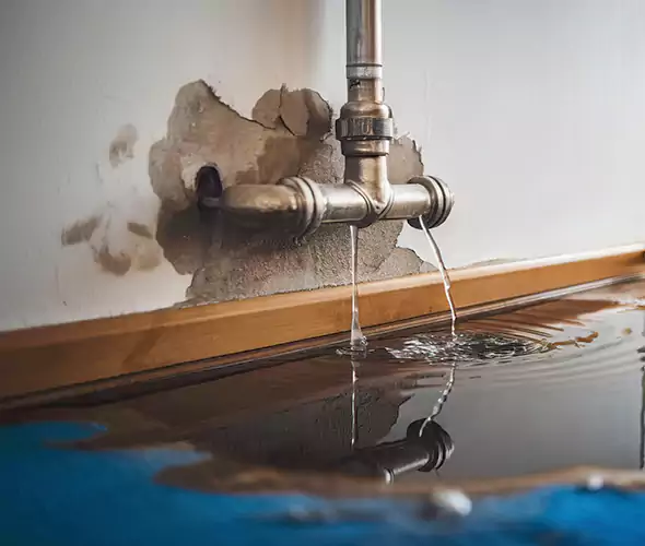 Professional Water Damage Restoration Experts in El Cajon, CA — Fast, Reliable & Certified