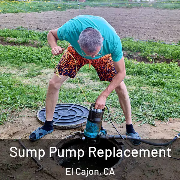  Sump Pump Replacement El Cajon, CA