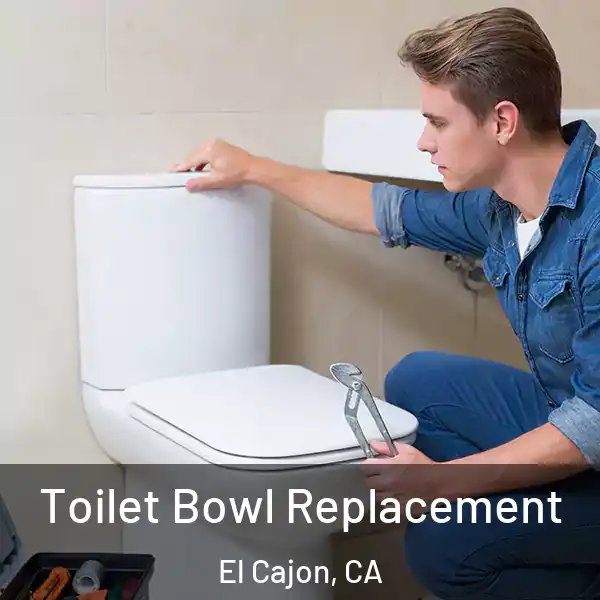  Toilet Bowl Replacement El Cajon, CA