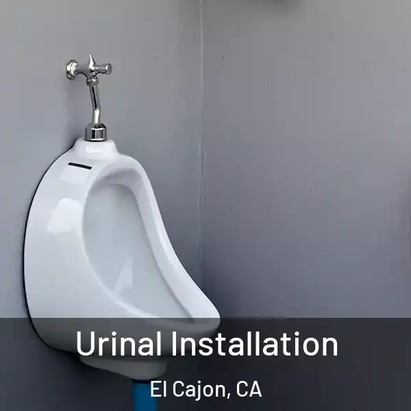  Urinal Installation El Cajon, CA