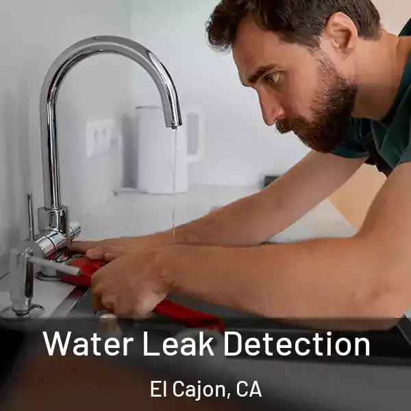  Water Leak Detection El Cajon, CA
